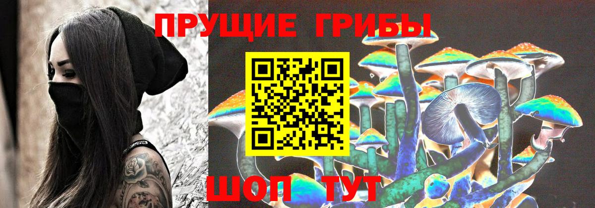 Гусев  даркнет сайт  Галлюциногенные грибы прущие грибы  Вход с VPN  Псилоцибиновые грибы Psilocybine cubensis 